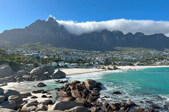 Half-Day Cape Point Tour with Penguins from Cape Town — Boulders & Cape Point Reserve photo 6