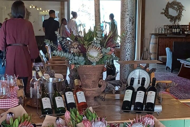 Half-Day Stellenbosch Wine Tour from Cape Town — Tasting & Town Highlights photo 3