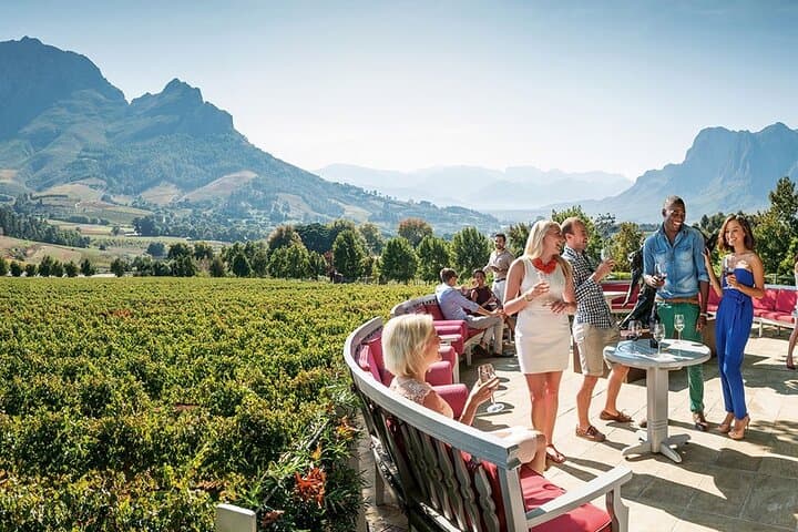 Half-Day Stellenbosch Wine Tour from Cape Town — Tasting & Town Highlights photo 4