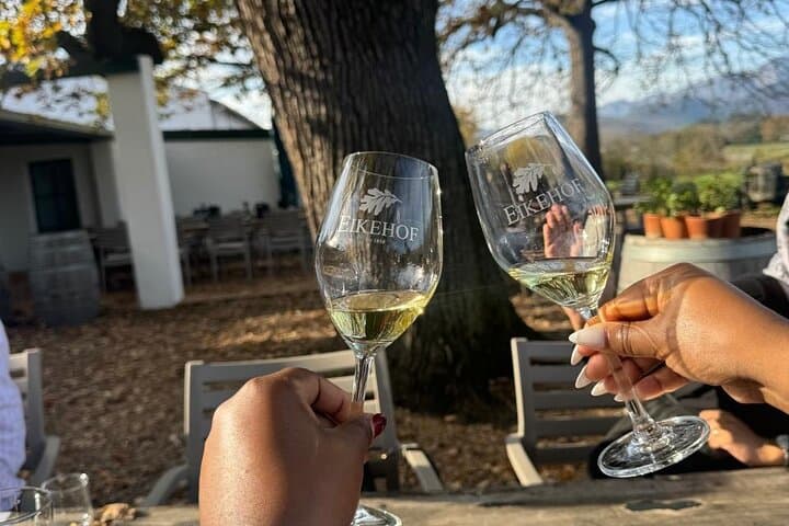 Half-Day Stellenbosch Wine Tour from Cape Town — Tasting & Town Highlights photo 5