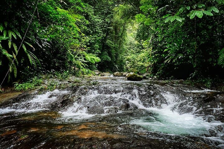 Camino Real Jungle Trek: 4-Day Panama Crossing from Caribbean to Pacific photo 2