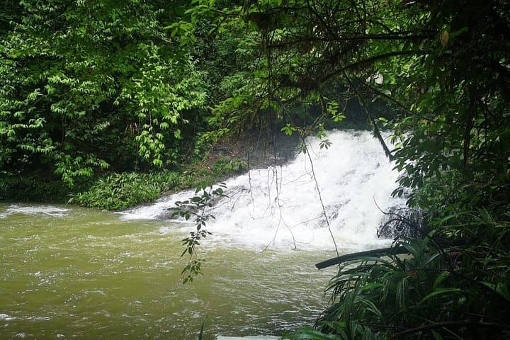 Camino Real Jungle Trek: 4-Day Panama Crossing from Caribbean to Pacific photo 3