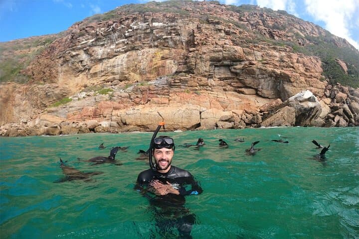 Swim with Cape Fur Seals at Robberg Nature Reserve, Plettenberg Bay photo 5