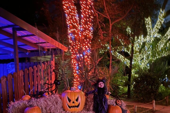 Jurassic Haunt at Dinosaur World: Florida’s Dinosaur Halloween Lights, Train Ride & Trick-or-Treat photo 2
