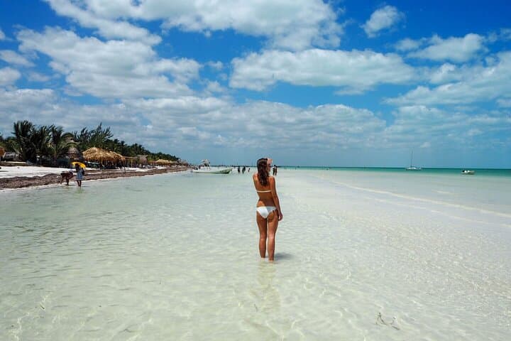 Isla Holbox Day Trip from Cancun: Cenote Yalahau, Isla Pasion & Punta Mosquito photo 5