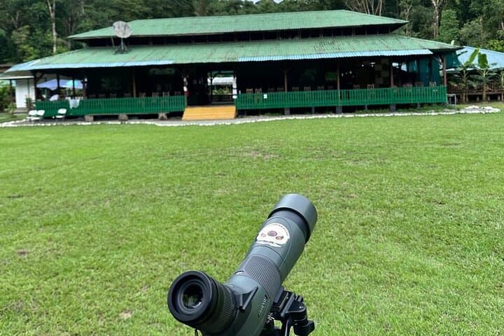 Explore Corcovado: 3-Day Sirena Biological Station Wildlife Expedition photo 3
