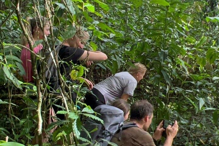 Explore Corcovado: 3-Day Sirena Biological Station Wildlife Expedition photo 6