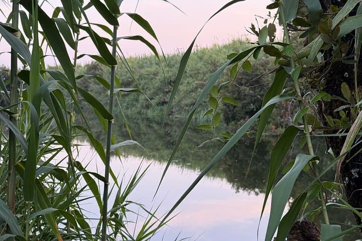 Bird Watching in Aveiro: Guided Ria de Aveiro Salt Pans Walk photo 5