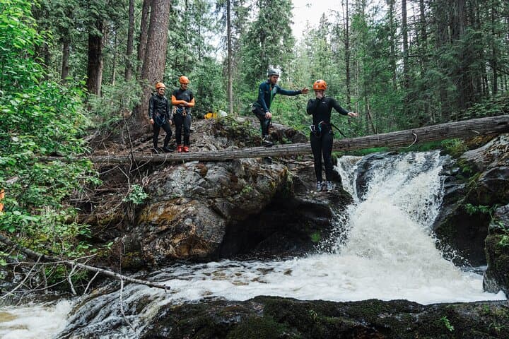 Adventure Canyoning in Kelowna: Rappels, Water Slides & Cedar-Lined Gorges photo 4