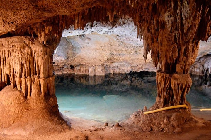 Snorkel with Akumal Turtles & Explore an Underground Cenote — Day Trip from Playa del Carmen photo 4