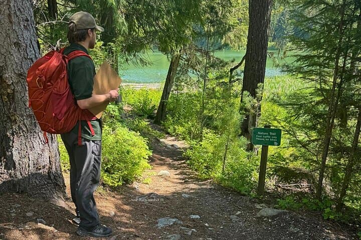 Whistler Nature Walk: Family-Friendly Valley Trail & Lost Lake Guided Tour photo 4