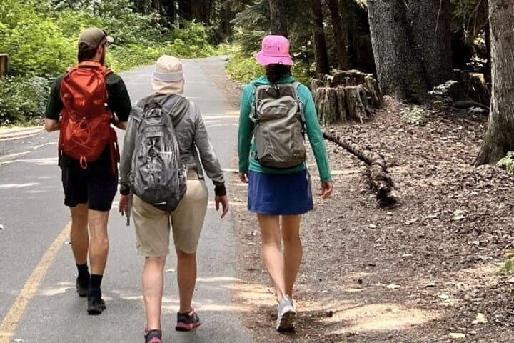 Whistler Nature Walk: Family-Friendly Valley Trail & Lost Lake Guided Tour photo 3