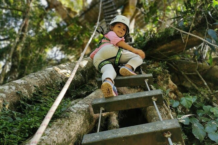 Monteverde Canopy Tour: Zipline, Rappel & Hollow-Tree Ladder Adventure photo 6