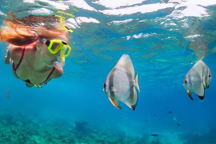 VIP Hula Hula & Giftun Island Snorkeling Day Trip from Hurghada photo 5