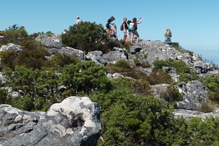 Table Mountain Cable Car: Half-Day Rotating Ride and Summit Walk in Cape Town photo 6