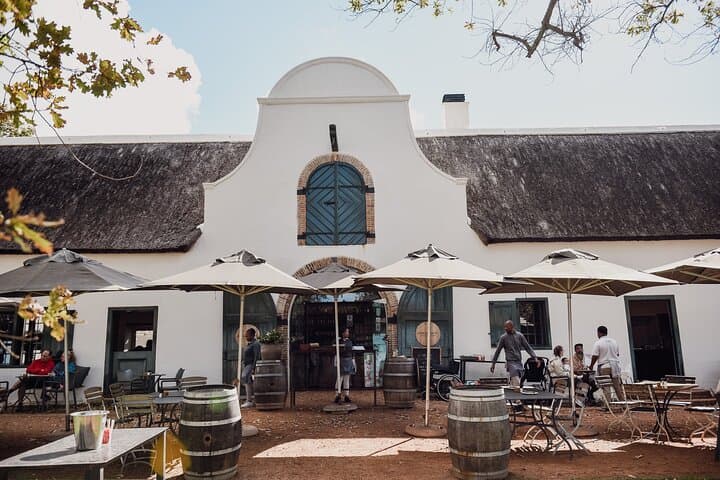 Half-Day Constantia Wine Tour: Groot Constantia Cellar Tour & Beau Constantia Tastings photo 6