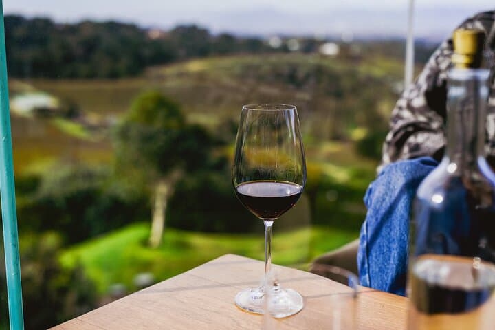 Half-Day Constantia Wine Tour: Groot Constantia Cellar Tour & Beau Constantia Tastings photo 4