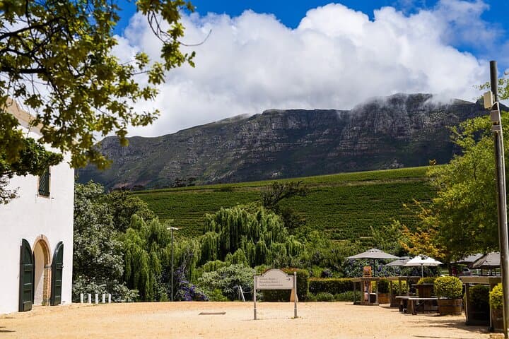 Half-Day Constantia Wine Tour: Groot Constantia Cellar Tour & Beau Constantia Tastings photo 3