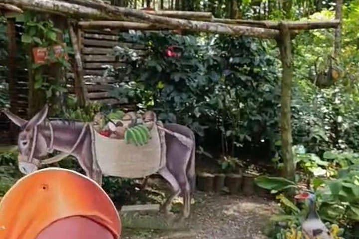 Puerto Plata City Tour: Mountain Safari, Rum & Chocolate with Lunch photo 3