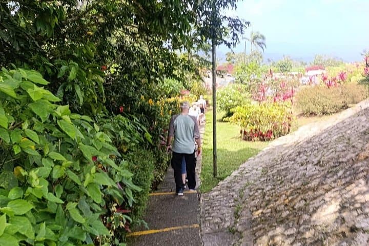 Puerto Plata City Tour: Mountain Safari, Rum & Chocolate with Lunch photo 4