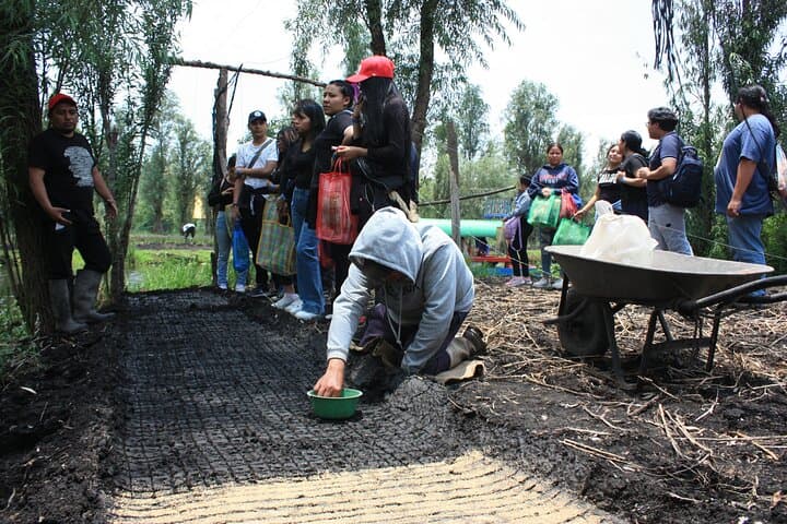 Xochimilco Floating Gardens Stroll: Chinampas, Birds & Traditional Meals photo 2