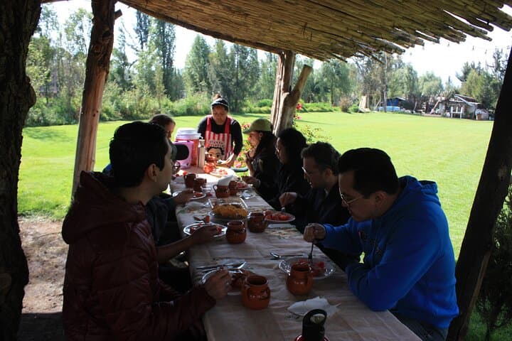 Xochimilco Floating Gardens Stroll: Chinampas, Birds & Traditional Meals photo 3