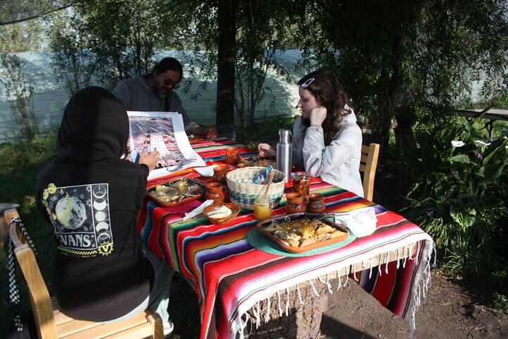 Xochimilco Floating Gardens Stroll: Chinampas, Birds & Traditional Meals photo 5