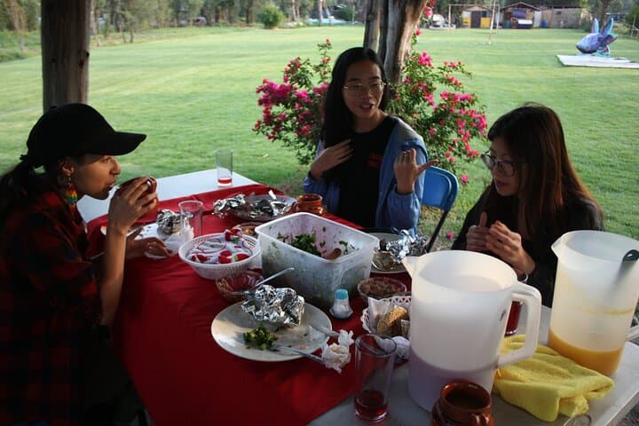 Xochimilco Floating Gardens Stroll: Chinampas, Birds & Traditional Meals photo 6