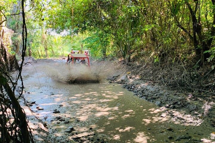 Drive Off-Road Buggies and Discover Puerto Plata: Half-Day Adventure with Lunch photo 3