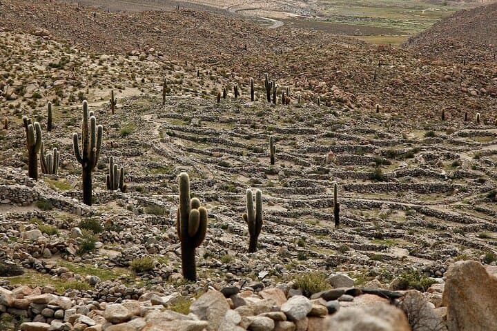 Tuzgle Baths & La Polvorilla: Hot Springs and Train-to-the-Clouds Views in the Salta Puna photo 4
