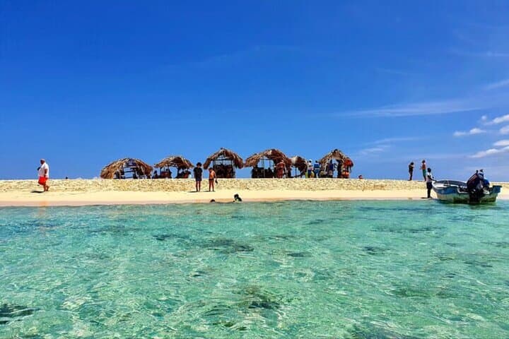 Paradise Island Snorkel at Cayo Arena — Day Trip from Puerto Plata photo 4