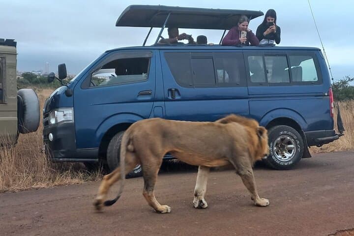 Nairobi National Park Half-Day Game Drive: Safari with a Skyline View