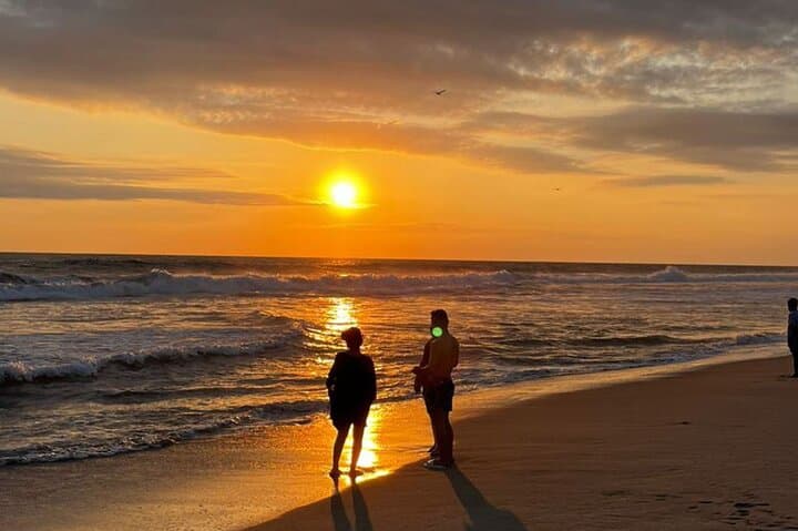 Sunset Sea Turtle Release in Puerto Escondido — Guided Beach Release & Conservation Talk photo 4