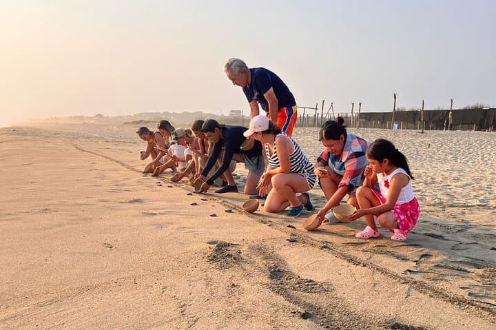 Sunset Sea Turtle Release in Puerto Escondido — Guided Beach Release & Conservation Talk photo 5