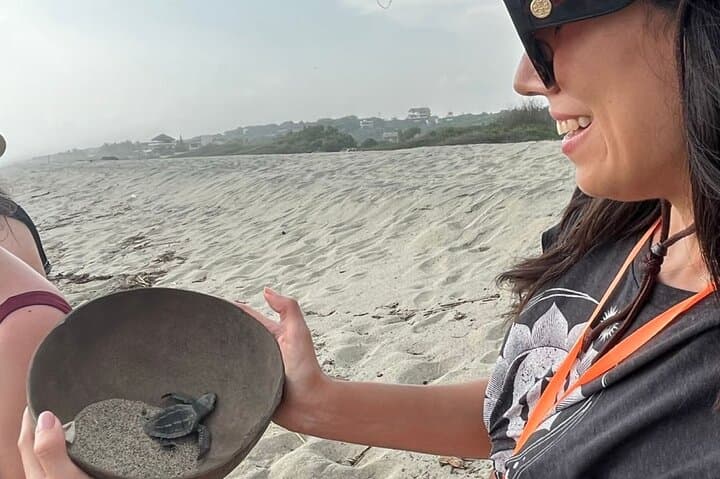 Sunset Sea Turtle Release in Puerto Escondido — Guided Beach Release & Conservation Talk photo 6