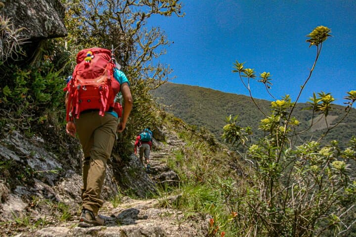 1-Day Inca Trail to Machu Picchu — Sun Gate Hike From Cusco photo 5