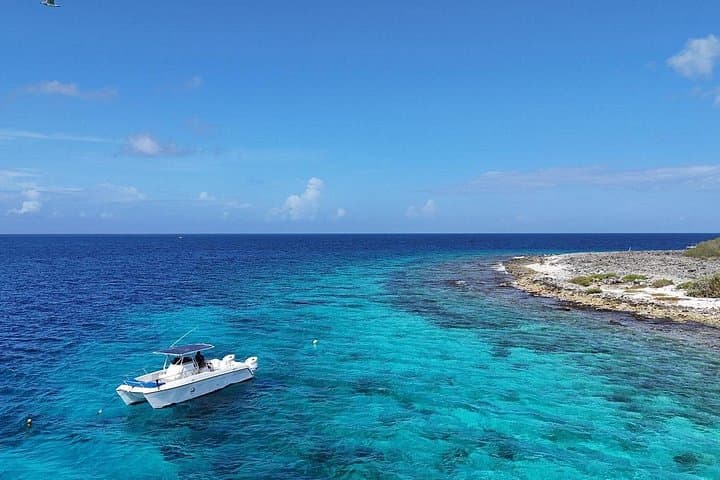 Private Snorkel Tour in Bonaire Marine Park — Klein Bonaire Charter photo 3