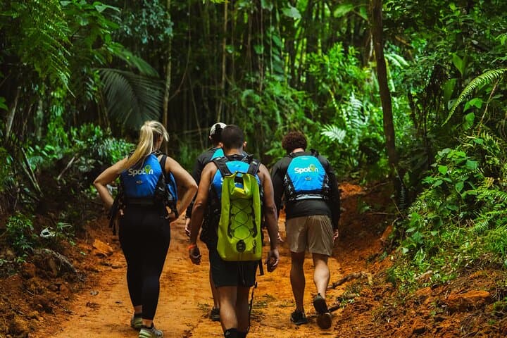 VIP El Yunque Rainforest Adventure: Hike, Swim & Natural Waterslide Near San Juan photo 3