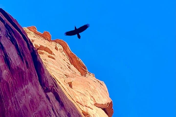 Kayak to Water Antelope Canyon: Lake Powell Guided Kayak and Hike photo 6