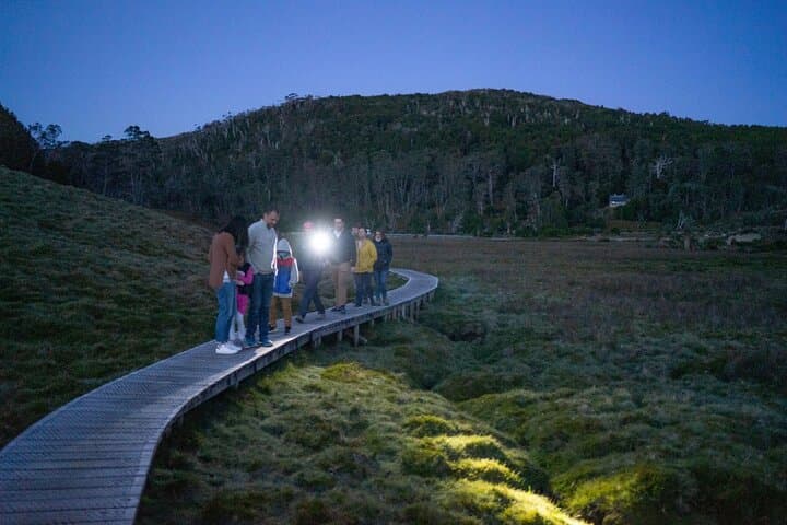 Night Wildlife Spotting at Cradle Mountain — Guided Sunset & Nocturnal Tour photo 2