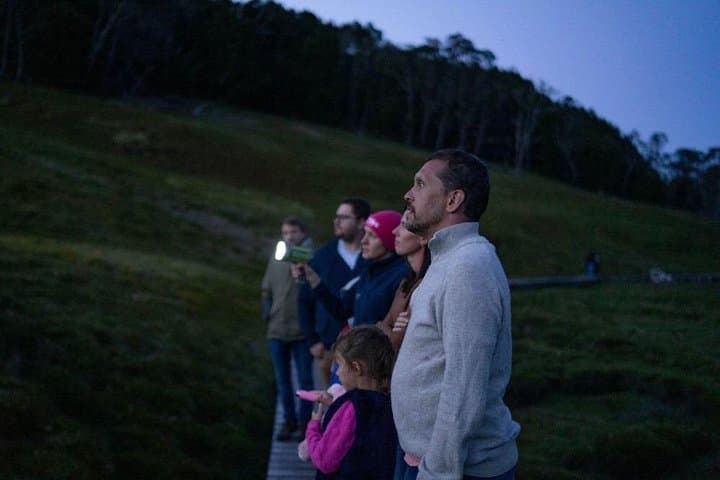 Night Wildlife Spotting at Cradle Mountain — Guided Sunset & Nocturnal Tour photo 3