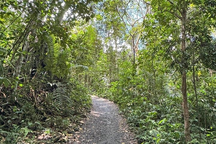 Itacaré 4 Beaches and Waterfalls Tour — Day Trip to Itacarezinho, Camboinha, Hawaii & Tijuipe