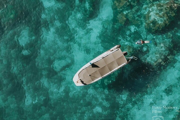 Aldermen Islands Boat Tour from Tairua — Coromandel Wildlife & Snorkelling Adventure
