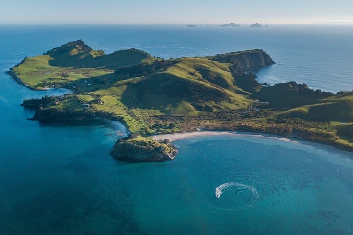 Aldermen Islands Boat Tour from Tairua — Coromandel Wildlife & Snorkelling Adventure photo 2