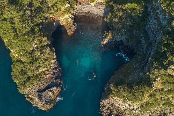 Aldermen Islands Boat Tour from Tairua — Coromandel Wildlife & Snorkelling Adventure photo 6