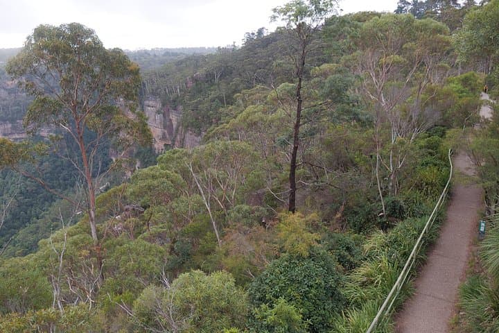 Blue Mountains 2-Day Scenic Tour: Scenic World, Wildlife & Night Walk from Sydney photo 4