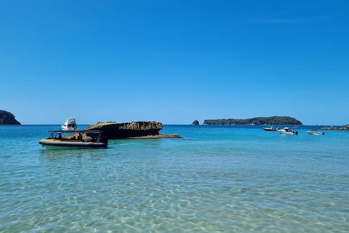 Cathedral Cove Guided Boat Tour: 2-Hour Marine Reserve Cruise from Hahei photo 2