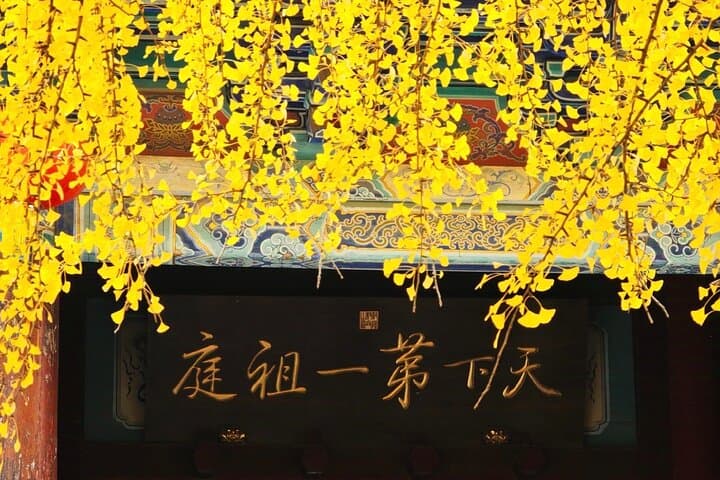 Private Day Trip to Shaolin Temple and Longmen Grottoes from Zhengzhou photo 5