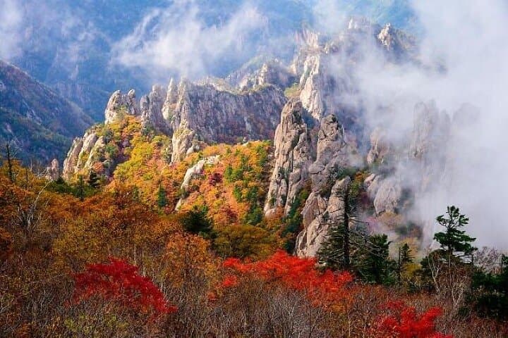 Seorak and Naksansa Day Trip from Seoul: Fall Peaks and Coastal Temple Views photo 2
