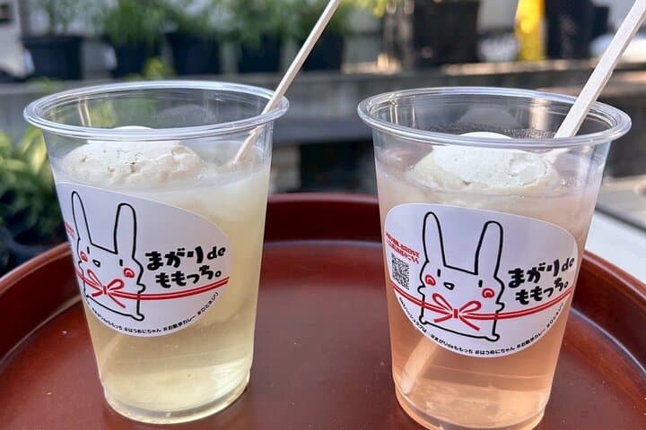 Karaku Peach Orchard Walk: Kurashiki Farm Tour & Momo-tein Tasting photo 2